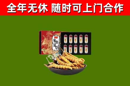 马龙烟酒回收冬虫夏草礼盒.jpg